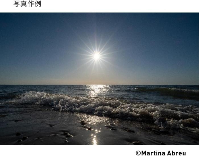 16-28mm F2.8 DG DN [ソニーE用] 商品画像9：沙羅の木