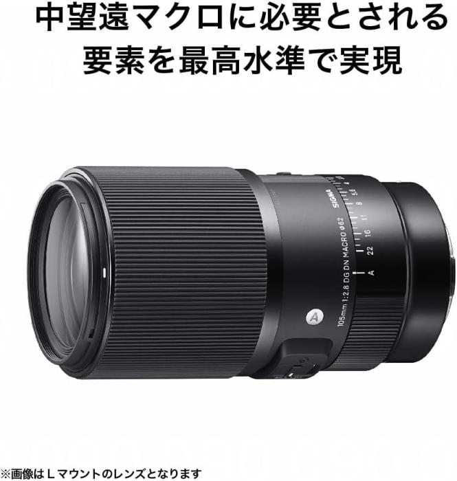 105mm F2.8 DG DN MACRO [ソニーE用] 商品画像6：沙羅の木
