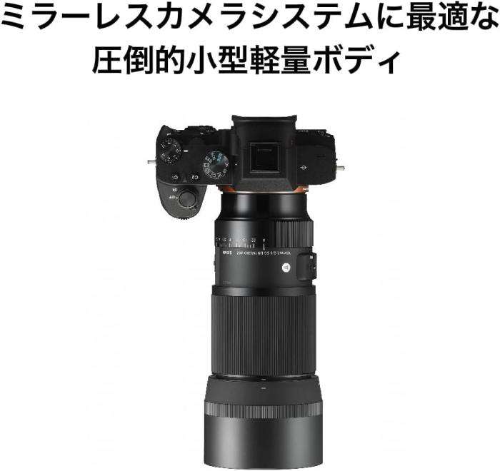 105mm F2.8 DG DN MACRO [ソニーE用] 商品画像7：沙羅の木