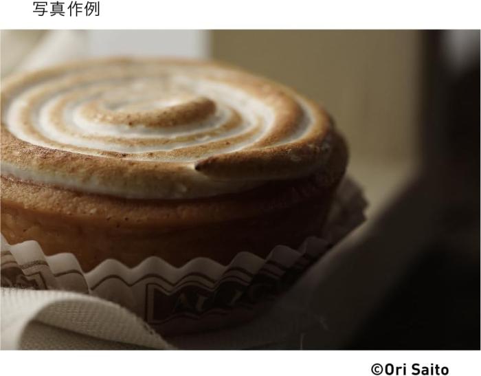 105mm F2.8 DG DN MACRO [ソニーE用] 商品画像8：沙羅の木