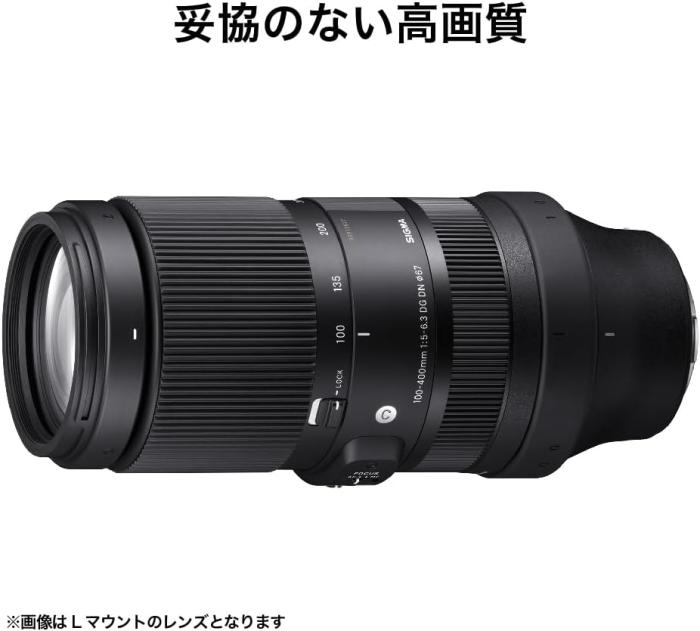 100-400mm F5-6.3 DG DN OS [ソニーE用] 商品画像5：沙羅の木