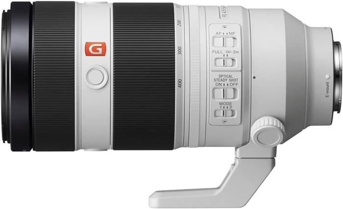FE 100-400mm F4.5-5.6 GM OSS SEL100400GM 商品画像3：沙羅の木