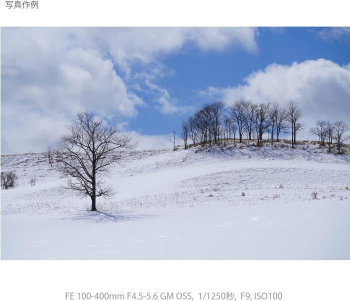 FE 100-400mm F4.5-5.6 GM OSS SEL100400GM 商品画像12：沙羅の木