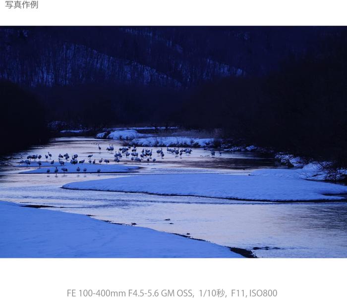 FE 100-400mm F4.5-5.6 GM OSS SEL100400GM 商品画像13：沙羅の木