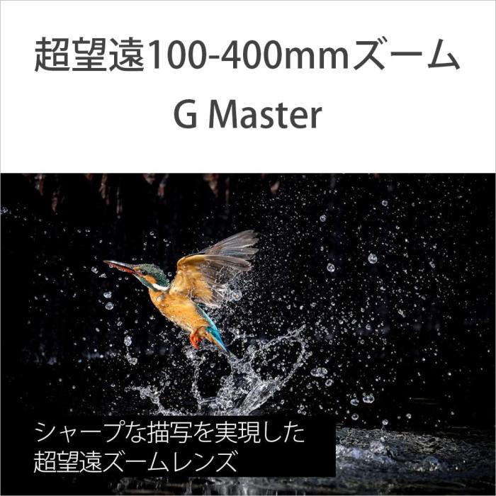 FE 100-400mm F4.5-5.6 GM OSS SEL100400GM 商品画像5：沙羅の木