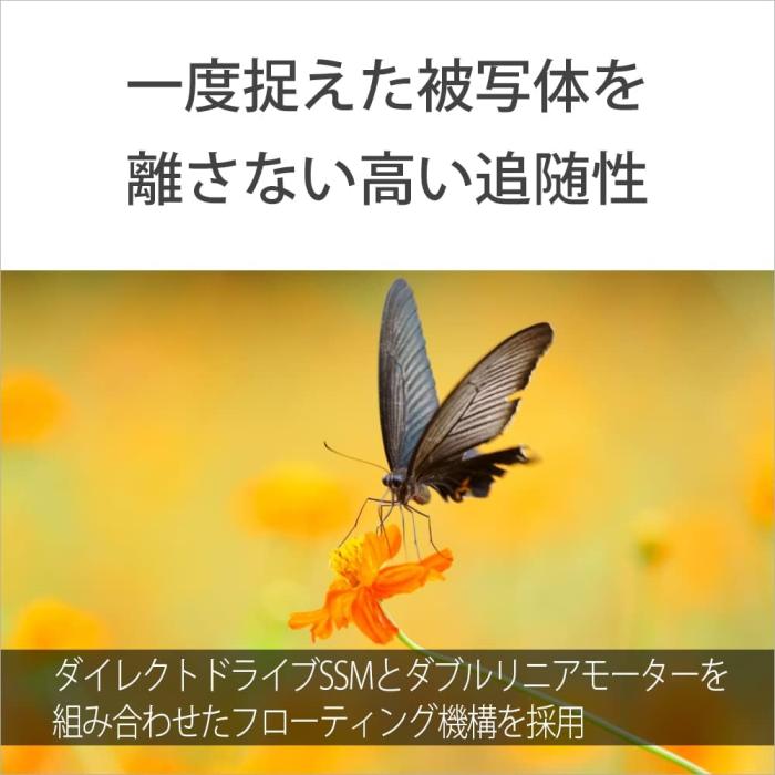 FE 100-400mm F4.5-5.6 GM OSS SEL100400GM 商品画像6：沙羅の木