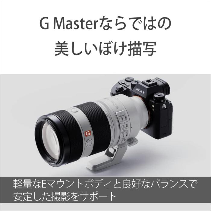 FE 100-400mm F4.5-5.6 GM OSS SEL100400GM 商品画像7：沙羅の木