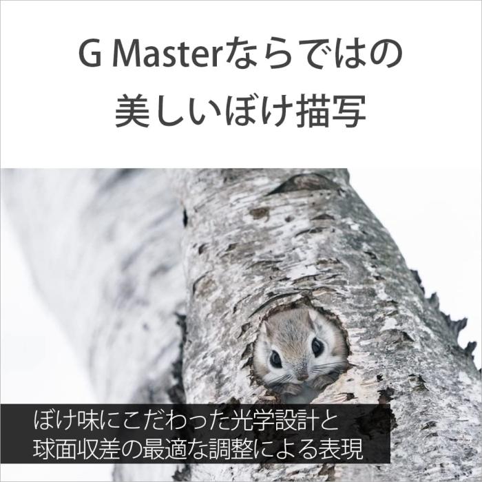 FE 100-400mm F4.5-5.6 GM OSS SEL100400GM 商品画像8：沙羅の木