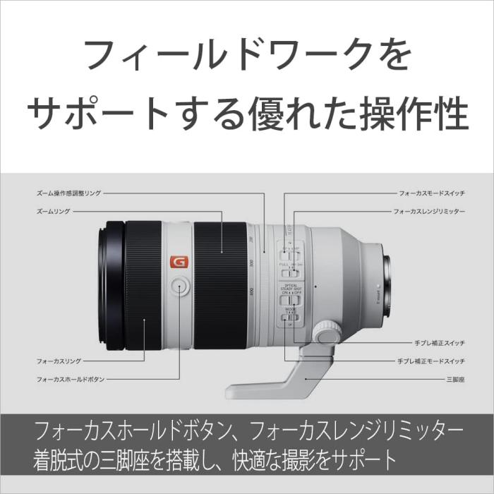 FE 100-400mm F4.5-5.6 GM OSS SEL100400GM 商品画像9：沙羅の木