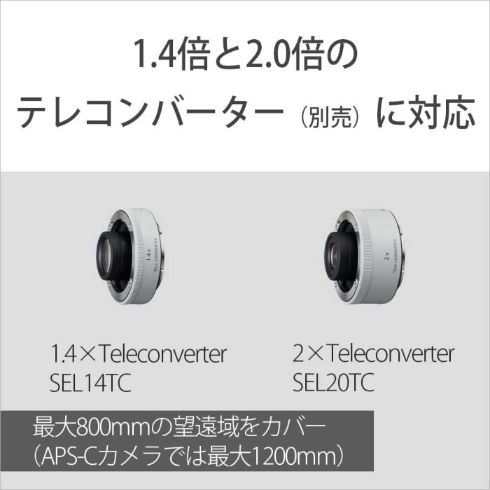 FE 100-400mm F4.5-5.6 GM OSS SEL100400GM 商品画像11：沙羅の木