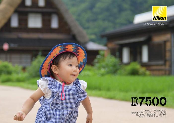 D7500 ボディ 商品画像10：沙羅の木