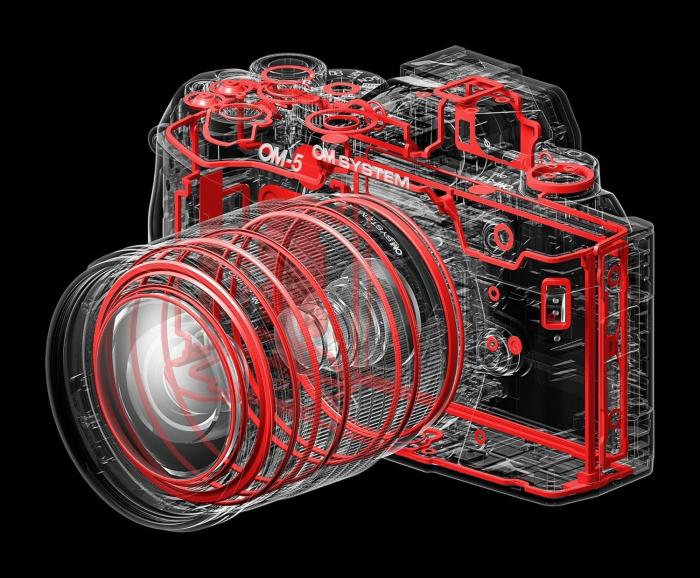 OM SYSTEM OM-5 Mark II 12-45mm F4.0 PRO レンズキット [ブラック] 商品画像6：沙羅の木