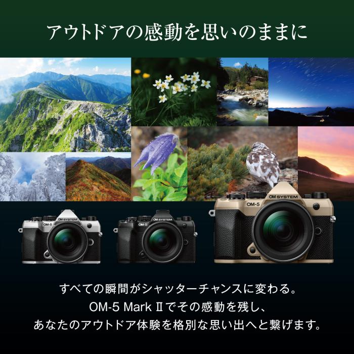 OM SYSTEM OM-5 Mark II 12-45mm F4.0 PRO レンズキット [ブラック] 商品画像7：沙羅の木