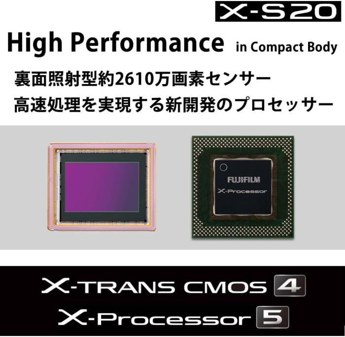 FUJIFILM X-S20 ボディ 商品画像5：沙羅の木