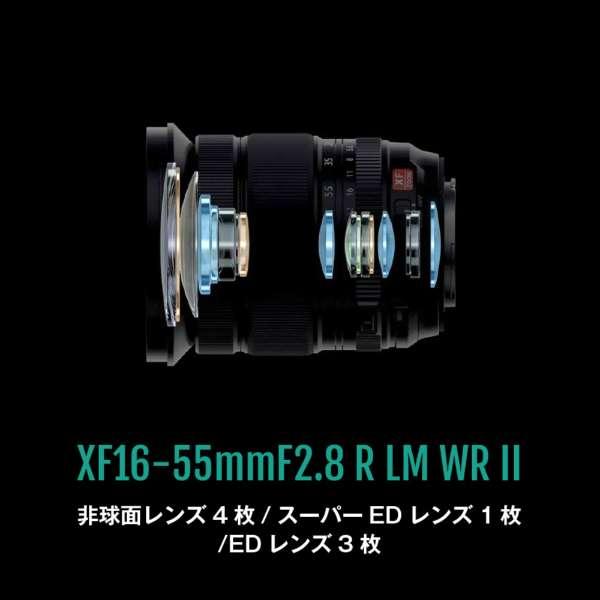 フジノンレンズ XF16-55mmF2.8 R LM WR II 商品画像5：沙羅の木