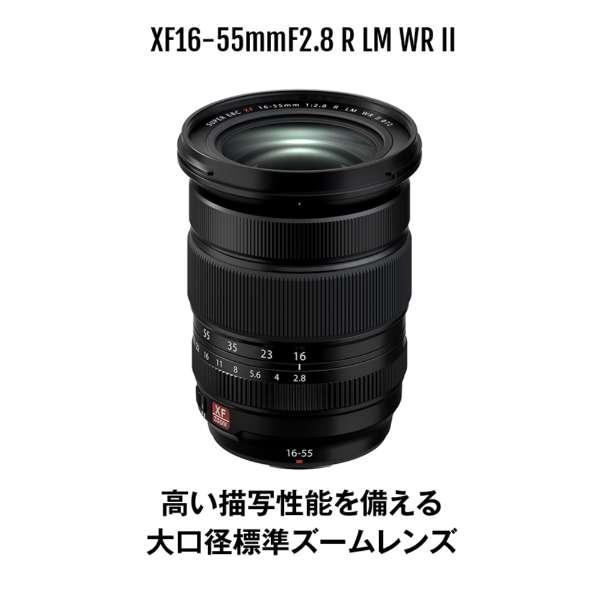 フジノンレンズ XF16-55mmF2.8 R LM WR II 商品画像7：沙羅の木