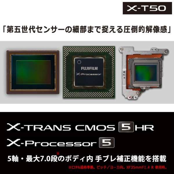 FUJIFILM X-T30 II XC15-45mmレンズキット 日英2言語設定モデル 商品画像11：沙羅の木