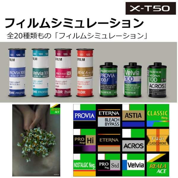 FUJIFILM X-T30 II XC15-45mmレンズキット 日英2言語設定モデル 商品画像10：沙羅の木