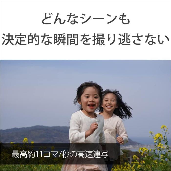 α6400 ILCE-6400L パワーズームレンズキット [ブラック] 商品画像12：沙羅の木