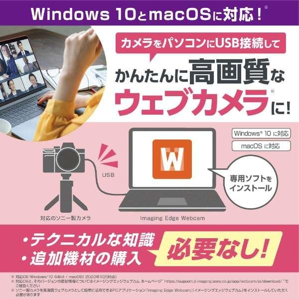 α6400 ILCE-6400L パワーズームレンズキット [ブラック] 商品画像15：沙羅の木