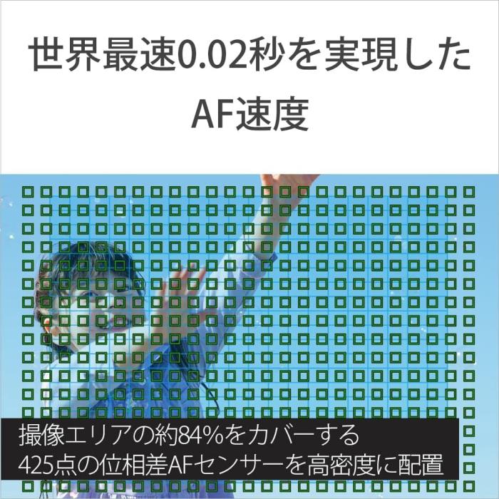 α6400 ILCE-6400L パワーズームレンズキット [ブラック] 商品画像4：沙羅の木