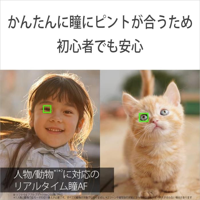 α6400 ILCE-6400L パワーズームレンズキット [ブラック] 商品画像5：沙羅の木