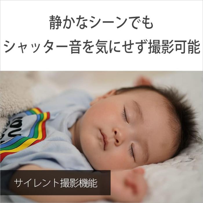 α6400 ILCE-6400L パワーズームレンズキット [ブラック] 商品画像8：沙羅の木