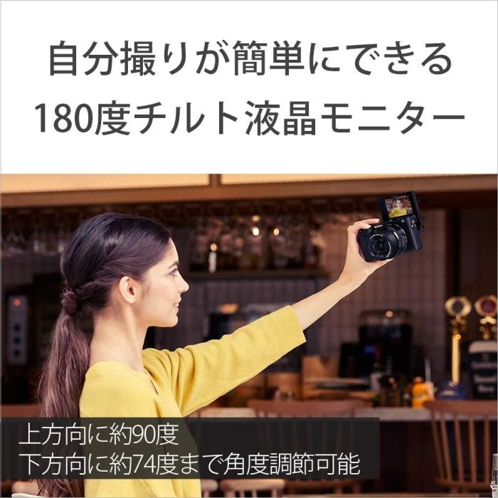 α6400 ILCE-6400L パワーズームレンズキット [ブラック] 商品画像10：沙羅の木