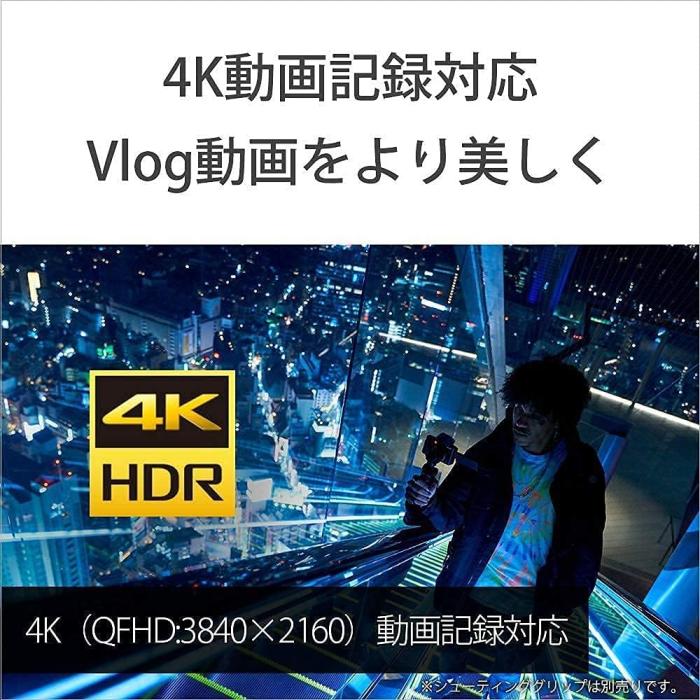 VLOGCAM ZV-1 (W) [ホワイト] 商品画像15：沙羅の木