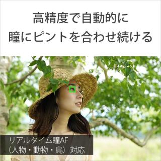 α7 IV ILCE-7M4K ズームレンズキットの通販なら: 沙羅の木 α7 IV ILCE-7M4K ズームレンズキットの通販なら: 沙羅の木