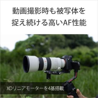 FE 70-200mm F2.8 GM OSS II SEL70200GM2の通販なら: 沙羅の木