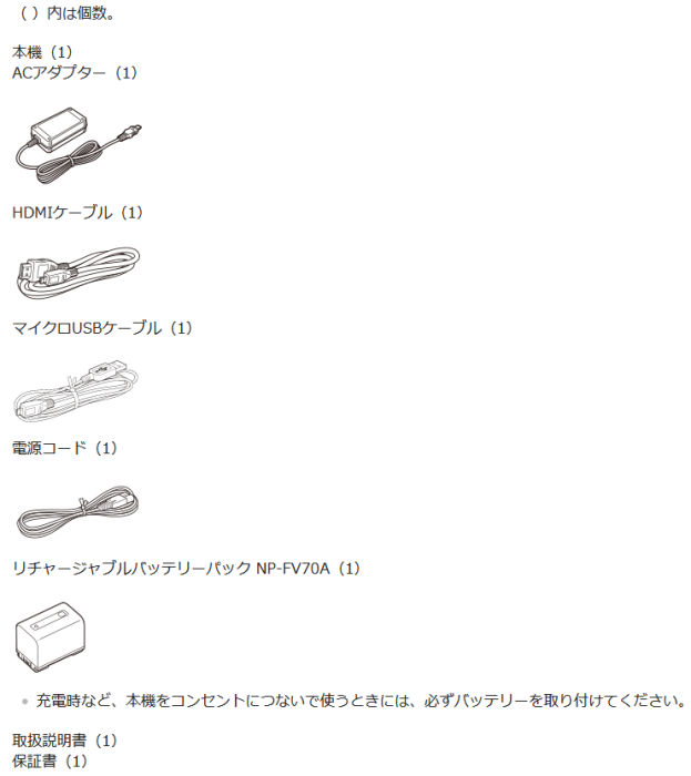 FDR-AX45A (B) [ブラック] 商品画像12：沙羅の木