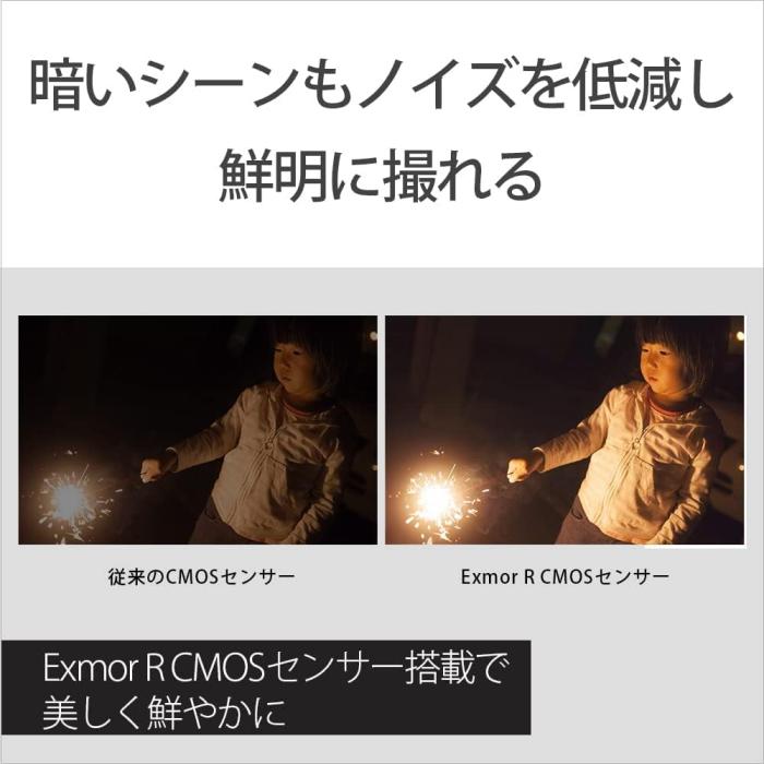 FDR-AX45A (TI) [ブロンズブラウン] 商品画像10：沙羅の木