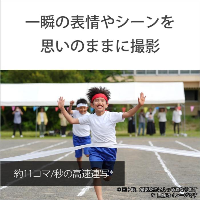 VLOGCAM ZV-E10M2X ダブルズームレンズキット [ブラック] 商品画像16：沙羅の木