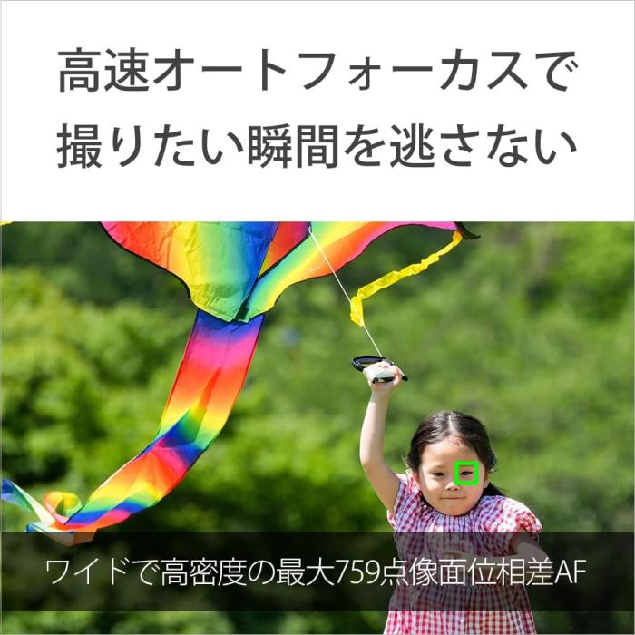 VLOGCAM ZV-E10M2X ダブルズームレンズキット [ブラック] 商品画像17：沙羅の木