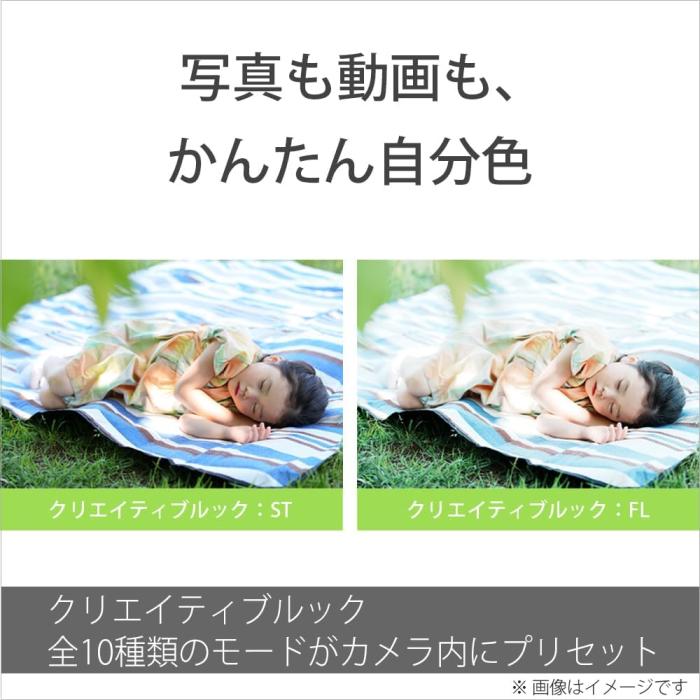 VLOGCAM ZV-E10M2X ダブルズームレンズキット [ブラック] 商品画像18：沙羅の木