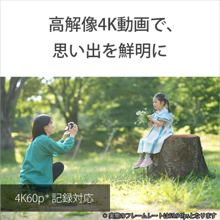 VLOGCAM ZV-E10M2X ダブルズームレンズキット [ブラック] 商品画像19：沙羅の木