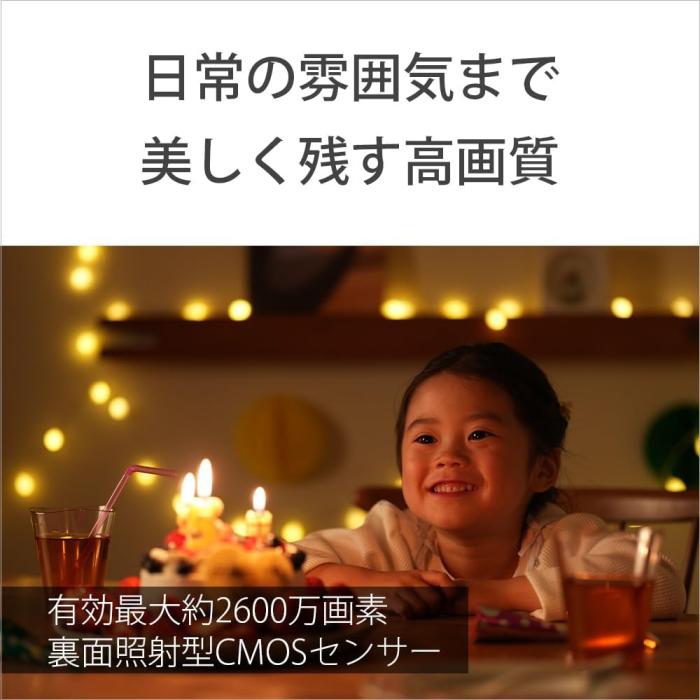 VLOGCAM ZV-E10M2X ダブルズームレンズキット [ブラック] 商品画像12：沙羅の木