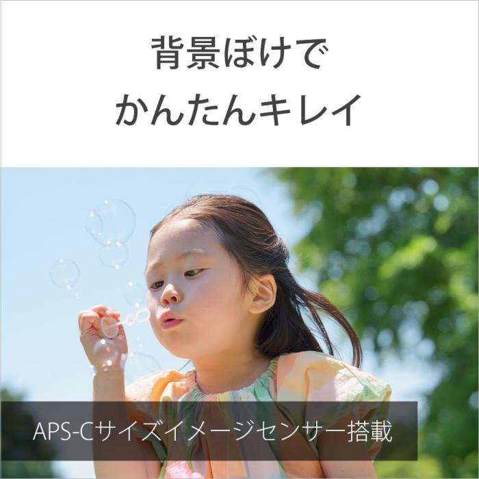 VLOGCAM ZV-E10M2X ダブルズームレンズキット [ブラック] 商品画像14：沙羅の木