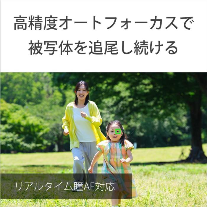 VLOGCAM ZV-E10M2X ダブルズームレンズキット [ブラック] 商品画像15：沙羅の木