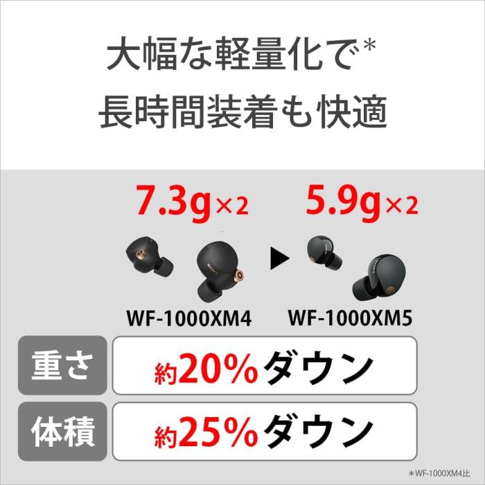 WF-1000XM5 (P) [スモーキーピンク] 商品画像16：沙羅の木