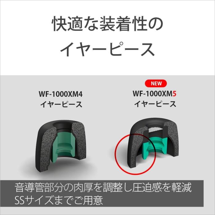 WF-1000XM5 (P) [スモーキーピンク] 商品画像24：沙羅の木