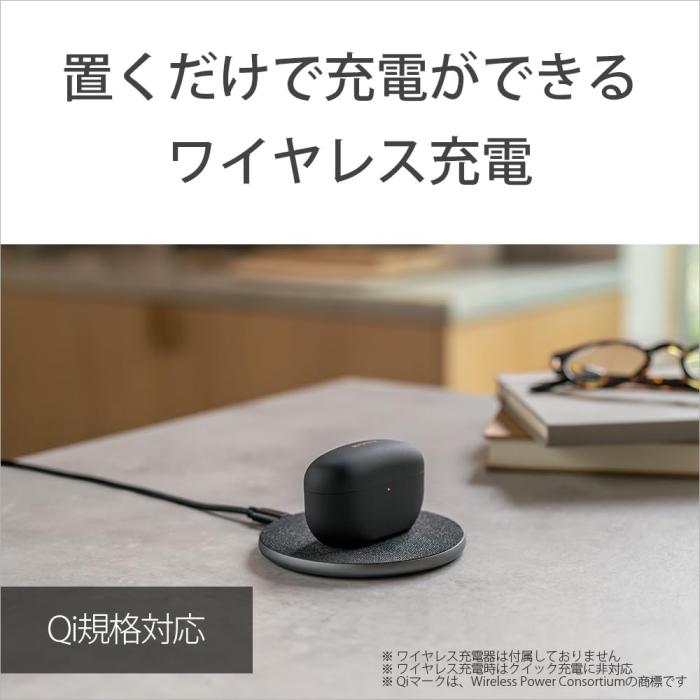 WF-1000XM5 (P) [スモーキーピンク] 商品画像25：沙羅の木