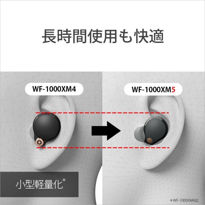 WF-1000XM5 (P) [スモーキーピンク] 商品画像15：沙羅の木