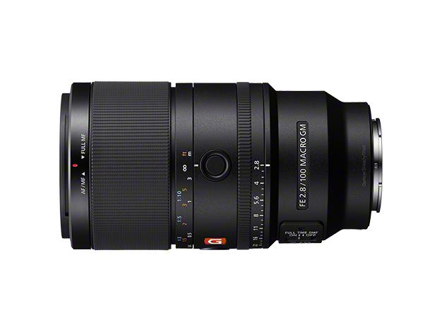 FE 100mm F2.8 Macro GM OSS SEL100M28GM 商品画像3：沙羅の木