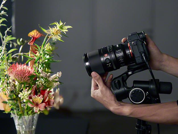 FE 100mm F2.8 Macro GM OSS SEL100M28GM 商品画像14：沙羅の木