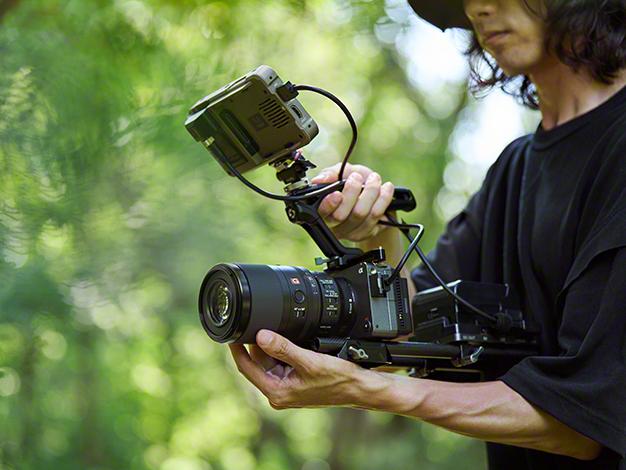 FE 100mm F2.8 Macro GM OSS SEL100M28GM 商品画像18：沙羅の木