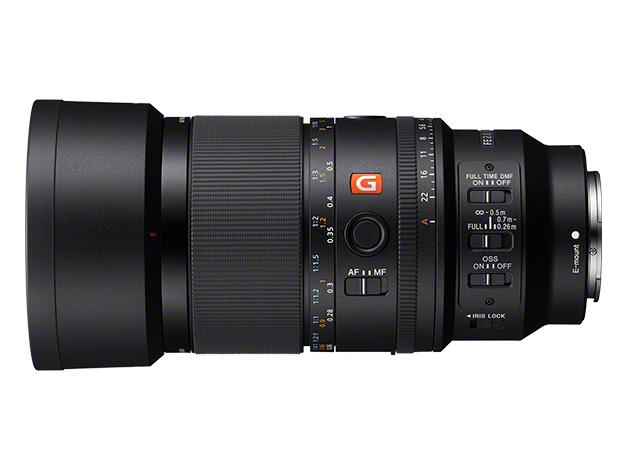 FE 100mm F2.8 Macro GM OSS SEL100M28GM 商品画像6：沙羅の木