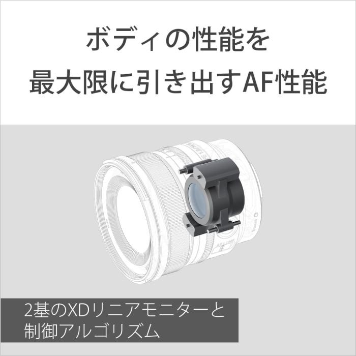 FE 16mm F1.8 G SEL16F18G 商品画像10：沙羅の木