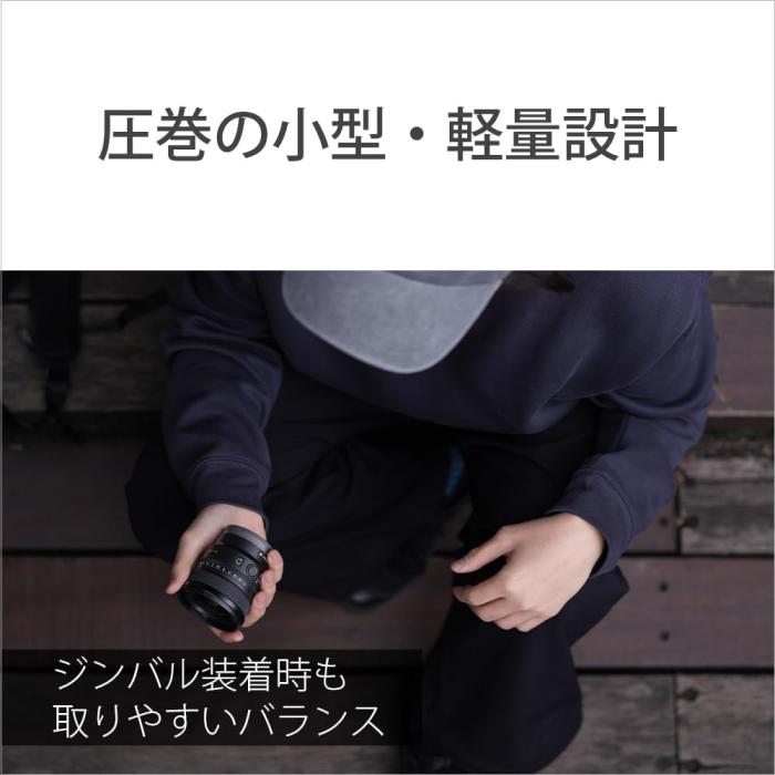 FE 16mm F1.8 G SEL16F18G 商品画像11：沙羅の木